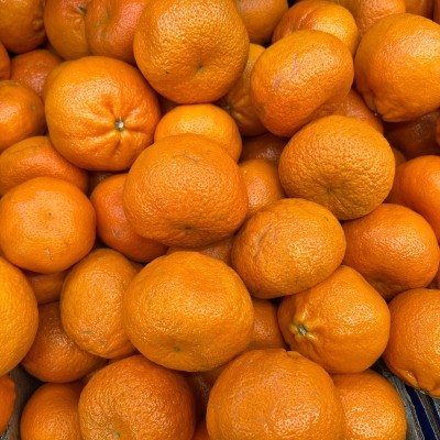 Clementine ( Mandalin)