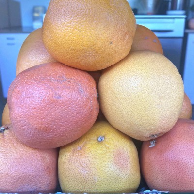 Grapefruit
