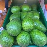 Avocado