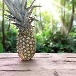 Pineapple